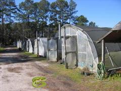 Greenhouses