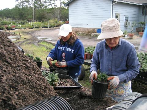 Potting wagon